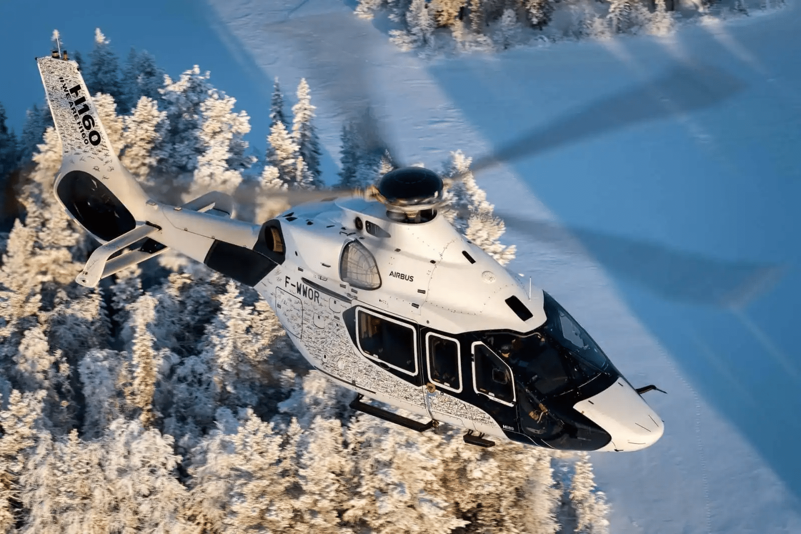 Private Helicopter Rental: Prices and Solutions- Avico